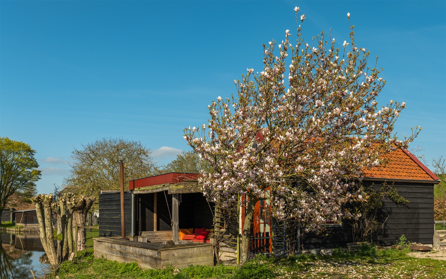 B&B Natuurterrein Diefdijk